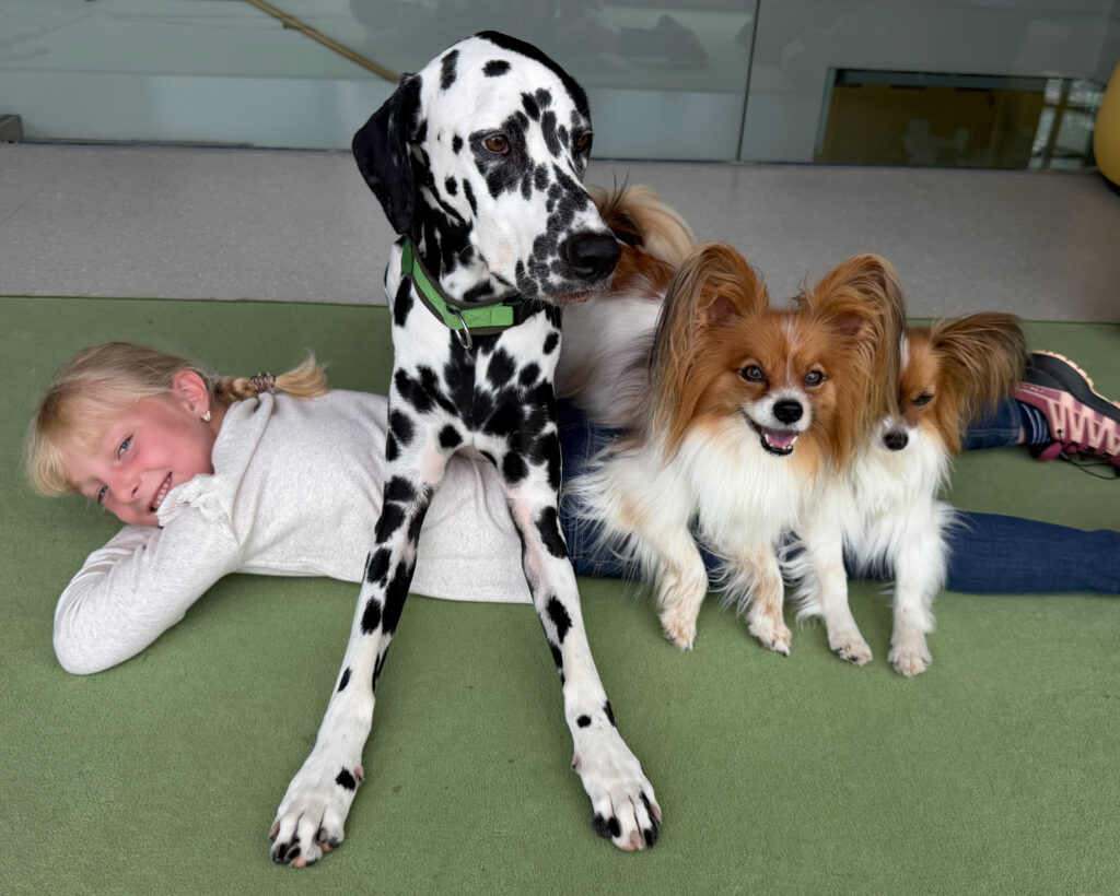 Therapiehunde, Ferienpass Engerwitzdorf
