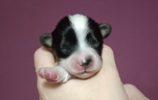 5F8DAAA1-A573-4BE7-B056-BCF166BFE1B7_4_5005_c